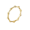 BAMBÚ RING