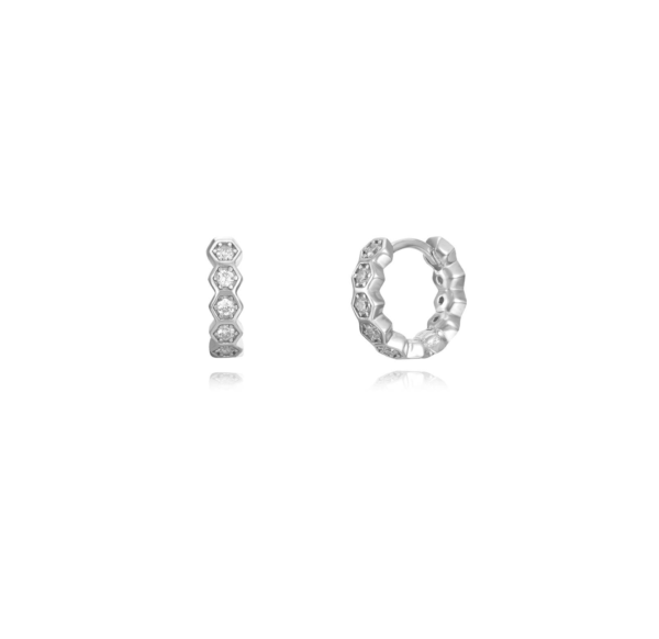 Captura de pantalla 2024-12-22 a las 9.38.00 HONEY HOOPS